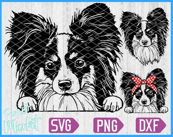 Papillon Dog svg,Papillon Dog dxf,Papillon Dog shirt,Papillon Dog print,Papillon Dog cut files,Papillon Dog face svg,Papillon Dog vector,