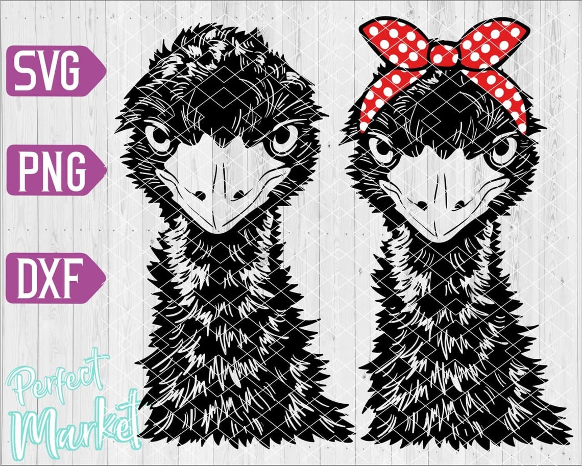 Cute Emu Head Svg Cricutcute Emu Svgcute Emu Dxfcute Emu Etsy