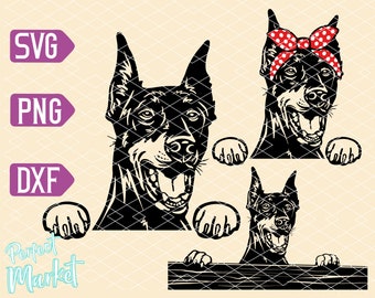 Face Doberman svg,Doberman face for shirt,Doberman svg, Doberman svg files,Dog SVG Files for Cricut, face head clipart Doberman,Dog svg,