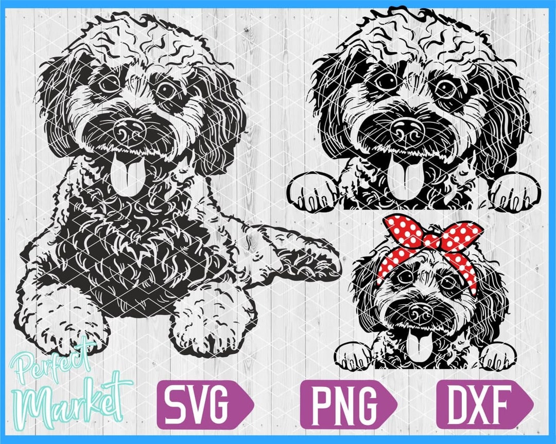 Cockapoo Dog SVG Cricut,cute Puppy Clipart,cockapoo Dog Clipart ...