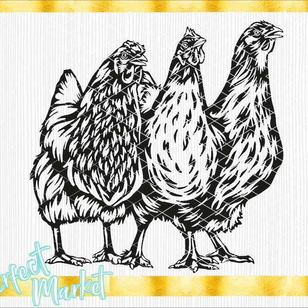 Chicken Svg Files For Cricut, Chicken For Shirt, Chicken PNG, Chicken Cut Files, Chicken dxf, Farm Animal Clipart, Shirt svg Rooster,