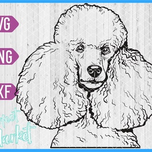 Poodle svg,Poodle Print for shirt,Poodle dxf png,French poodle clipart ,Face Head portrait svg,Dog svg files for cricut,Poodle Face svg,