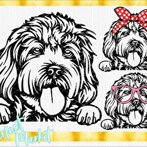May include: Three black and white illustrations of a dog with fluffy hair. The first image shows the dog with its tongue sticking out. The second image shows the dog wearing a red and white polka dot headband. The third image shows the dog wearing pink glasses.