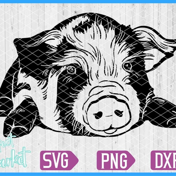 Pig funny face svg, Pig Svg files for cricut, Pig Svg files, Pig Dxf files, Pig Vector, Pig Clipart, Pig Shirt, Pig print, Farm animal svg,