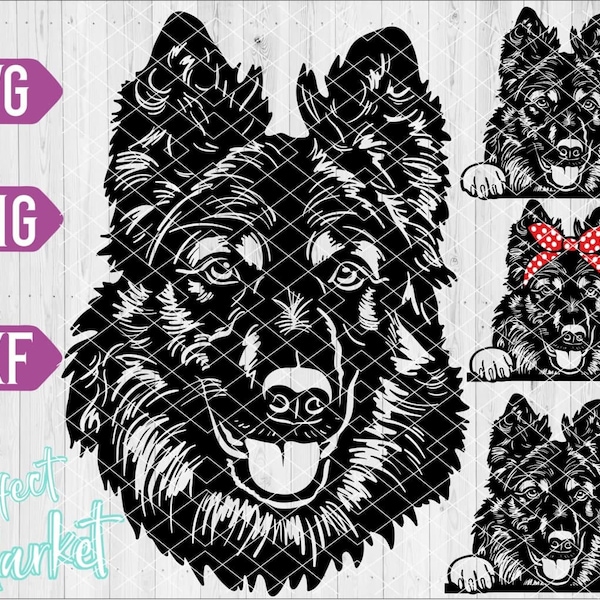 Chodsky Pes svg,Chodsky Pes dxf,Chodsky Pes clipart,Dog svg,Dog svg files,Chodsky Pes vector,Chodsky Pes cut files,Pets svg files