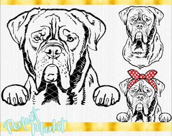 French Mastiff svg,French Mastiff cricut,French Mastiff t shirt,French Mastiff clipart,French Mastiff vector,French Mastiff cut files,