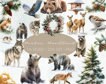 Aquarel winter bos clipart, bosdieren, schattige winter png, vos, beer, hert, digitale download, winter illustraties, winter dieren