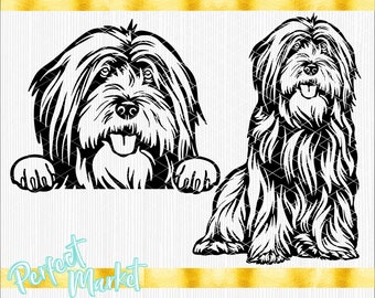 Tibet Terrier svg, Hunde svg-Dateien für Cricut, Tibetan Terrierhund svg-Dateien, Tibet Terrier dxf, Tibet Terrier Vektor, Tibet Terrier dxf