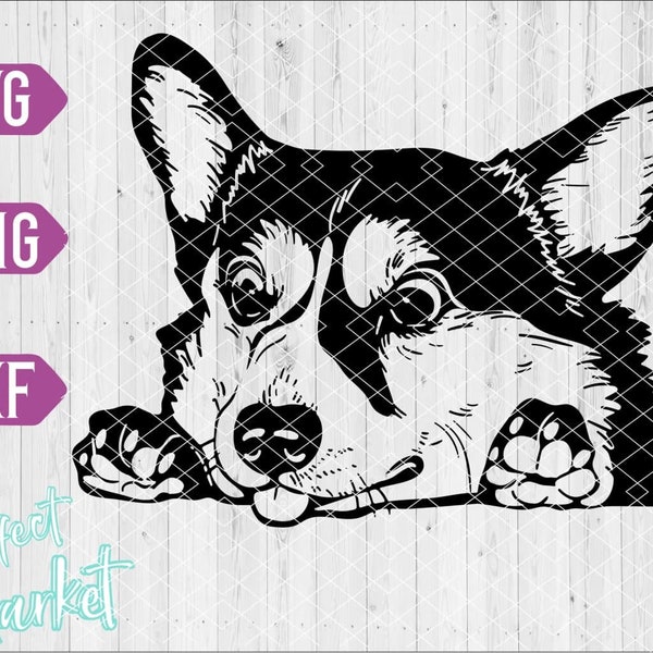 Corgi svg, dog svg files for Cricut,Corgi dxf files,Corgi shirt svg,Cute Corgi,Corgi download,Corgi clipart, Corgi png, Corgi cut vector,