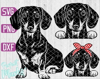 Dachshund svg,Doxie svg,Dachshund vector laser cut files,Dachshund Art,Dachshund dog face clipart,Funny Dachsh Peeking,Doxie download,
