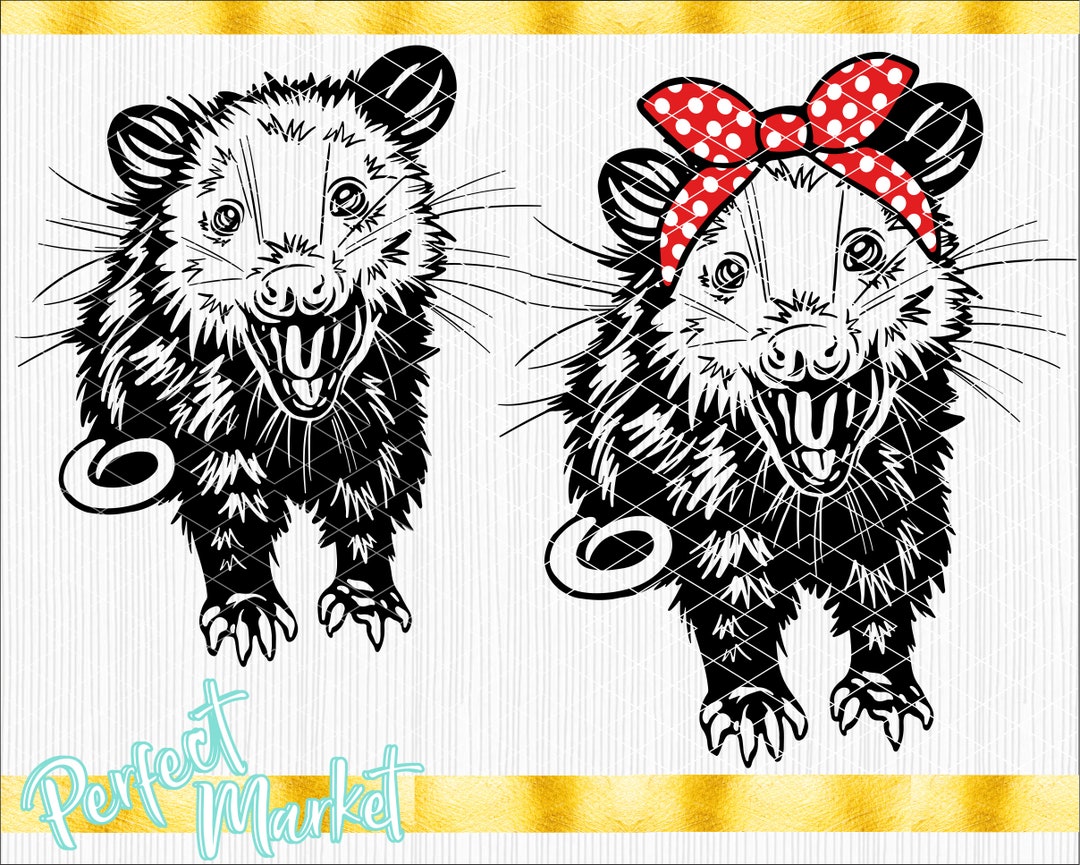 Opossum Svg,opossum Clipart,opossum Download,opossum Svg Files,opossum