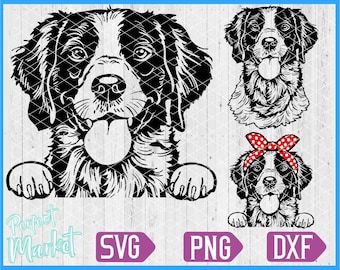 Framed Personalized Décor Limited Edition Brittany Spaniel Gifts Canvas Print Winter Adventure Time Dog Art All Breeds Framed Personalized Décor Limited Edition Brittany Spaniel Gifts Canvas Print Winter Adventure Time Dog Art All Breeds