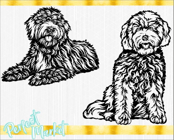 facial care homemade adult labradoodle