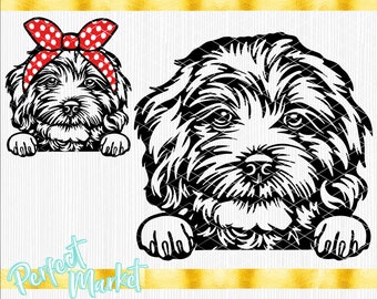 Cockapoo Dog SVG Cricut,cute Puppy Clipart,cockapoo Dog Shirt,dog Svg ...