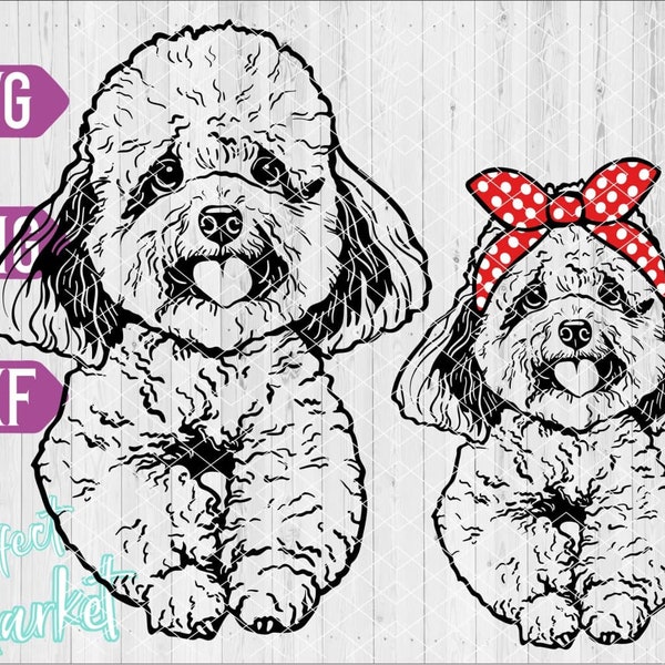 Poodle svg, Poodle Print for shirt, Poodle dxf png,Français poodle clipart, Face Head portrait svg, Dog svg files for cricut, Poodle Face svg,