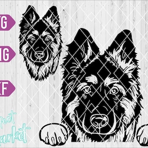 German shepherd svg, German shepherd head svg, German shepherd VectorDog svg,German shepherd for shirt,German shepherd png,