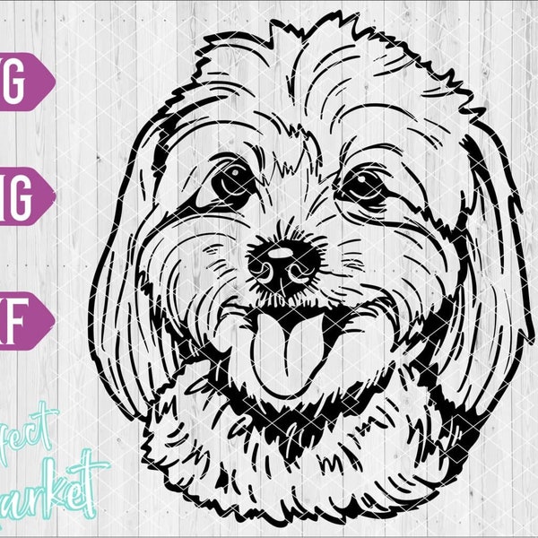 Coton de tulear dog svg,Coton de tulear shirt,Coton de tulear dog clipart,Coton de tulear face svg,Coton de tulear dog dxf,Dog svg