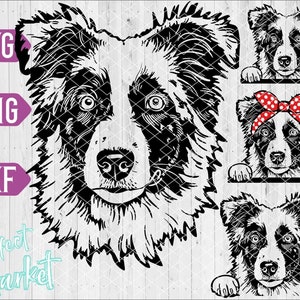 Australische herder svg, hond vector, Australische herder, Mini Aussie gezicht Clipart, hond Svg-bestanden voor de cricut, Australische herder shirt ontwerpen,