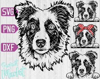 Australian shepherd svg,Dog Vector,Australian shepherd,Mini Aussie face Clipart,Dog Svg files for cricut,Australian shepherd shirt design,