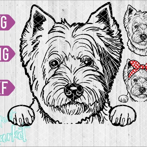 West Highland Terrier Clipart