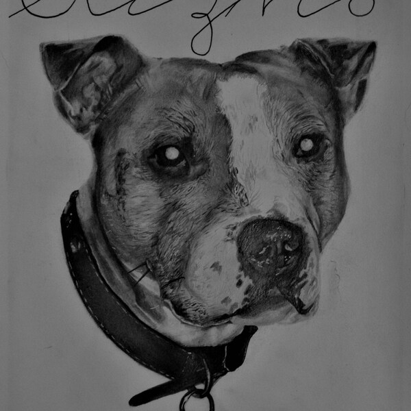 Photo Realism For Pets and People | Black and White Tonal Drawing.