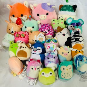 Miniature Squishmallow Plush Toy Lot