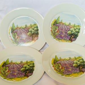 Limoges Porcelain Plates