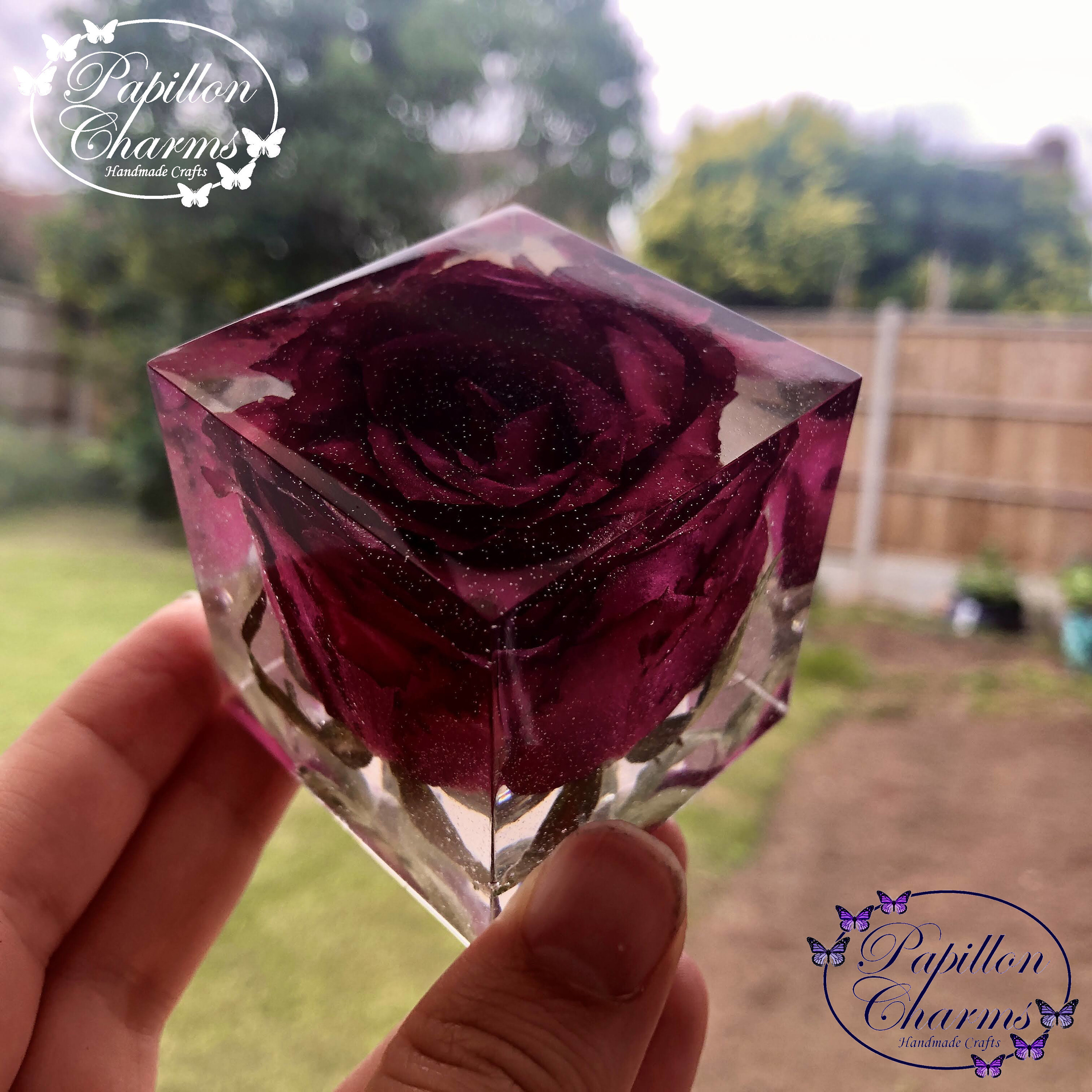 Real Rose in Clear Resin Cube Handmade in the UK Etsy