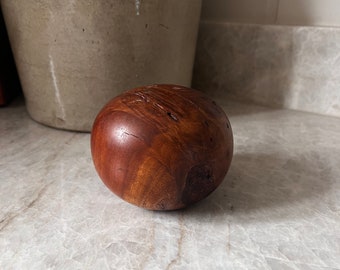 Vintage Petrified Wood Paperweight