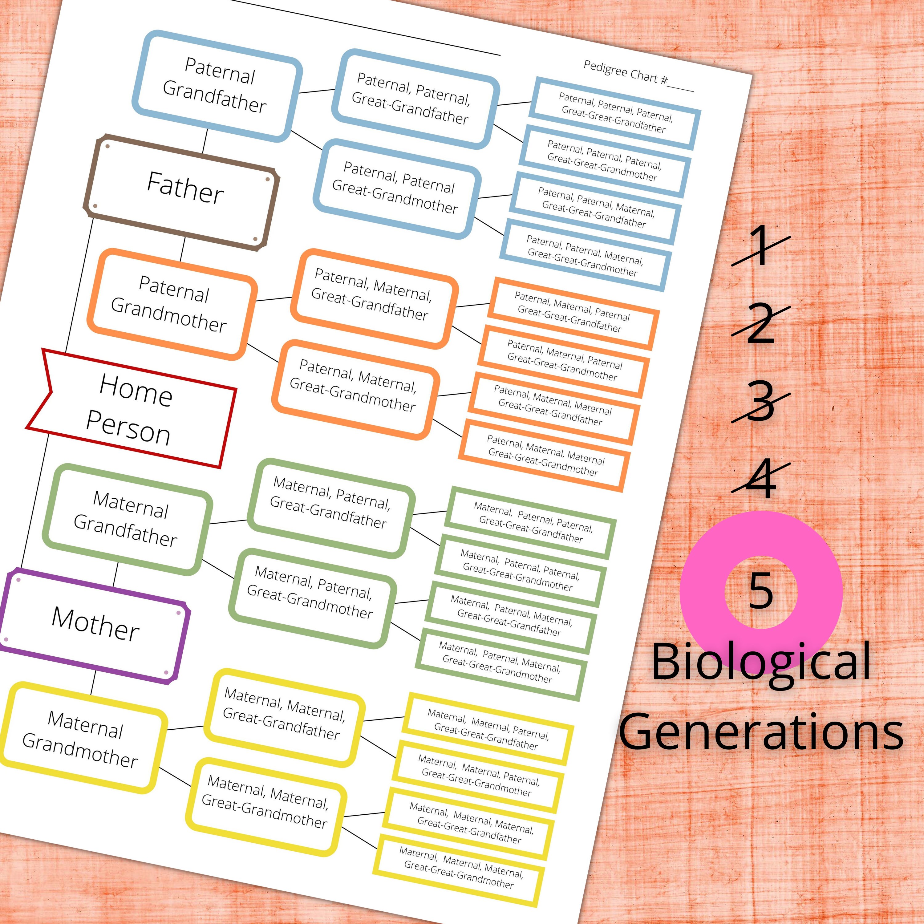 Family Tree Editable Pedigree Template Edit In Canva Genealogy 