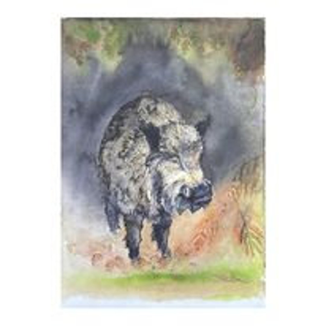 Wild Boar (12x8.5) - Etsy