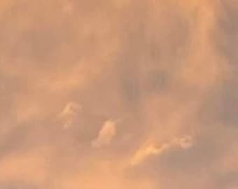 Urgent reading and skip the line Priority Psychic/tarot/clairvoyant question.