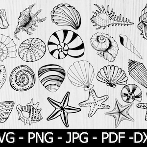 Seashell SVG Bundle, Seashell SVG, Seashell svg file, Ocean svg, Marine, Seashell Silhouette,  Seashell Cricut, Beach Svg, Png