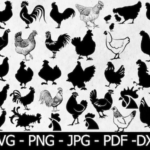 Chicken Bundle SVG, Farm Animal svg, Rooster svg, Hen svg, Hand Drawn Hen SVG, Chicken Clipart, silhouette cute chicken