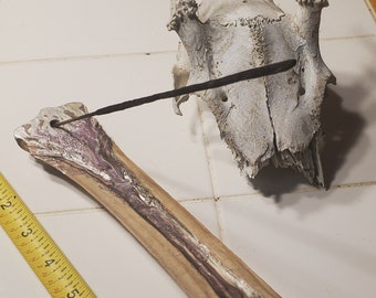 Horse Cannon Bone Incense Holder