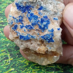 May include: A close-up of a mineral specimen featuring a mix of colors and textures. The rock has a light gray base with patches of bright blue and areas of tan and white. The mineral is held by a hand.