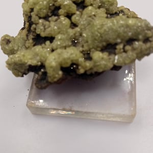Adamite Specimen Ojuela Mine in Mapimí, Durango, Mexico
