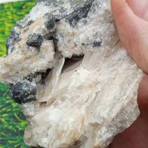 May include: A close-up of a raw mineral specimen. The rock features a mix of white, gray, and black crystalline structures. The mineral has a rough, textured surface with sharp, angular formations. The background is a blurred green.