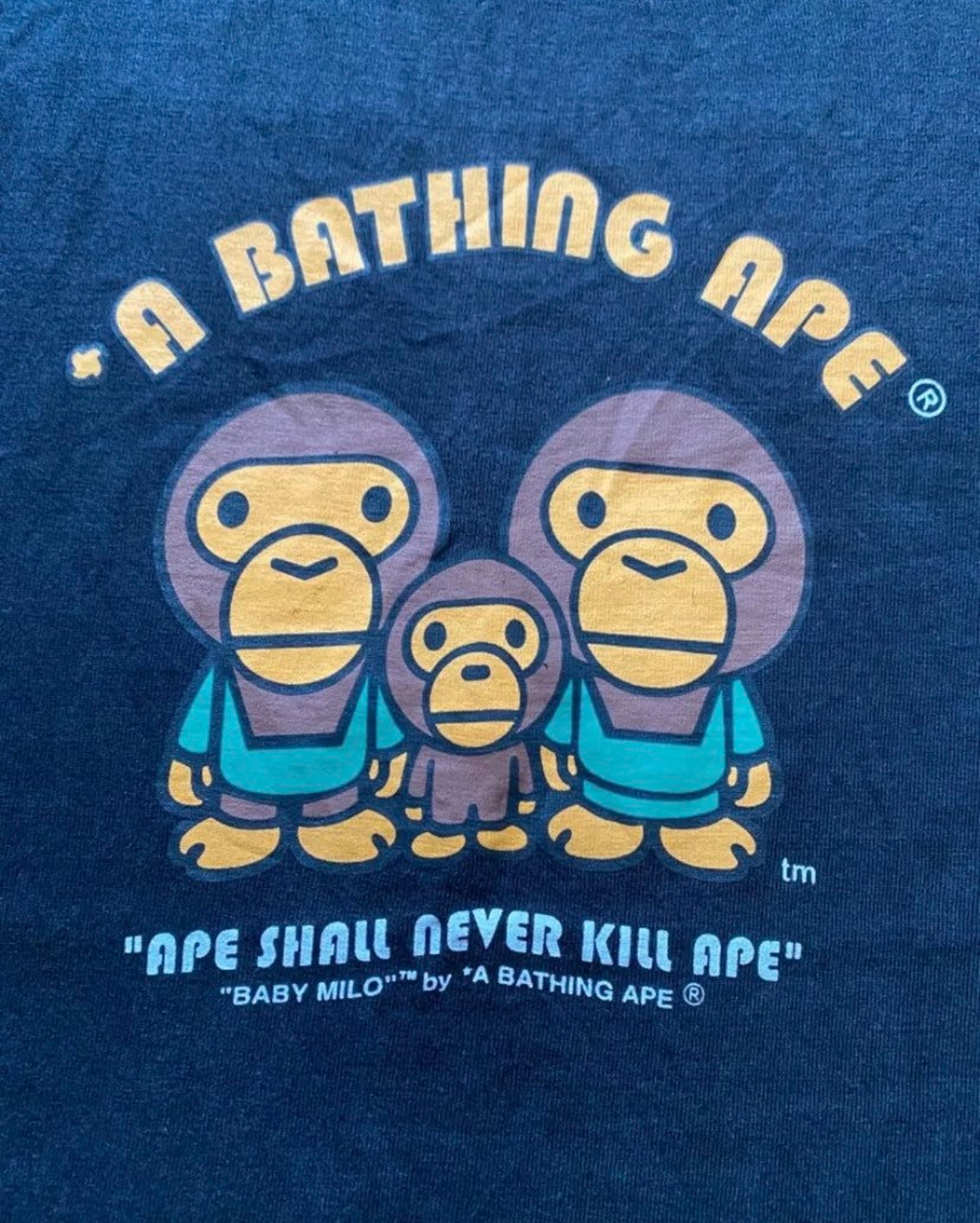 Vintage A Bathing Ape Bape Baby Milo Vintage Bape Check Logo | Etsy