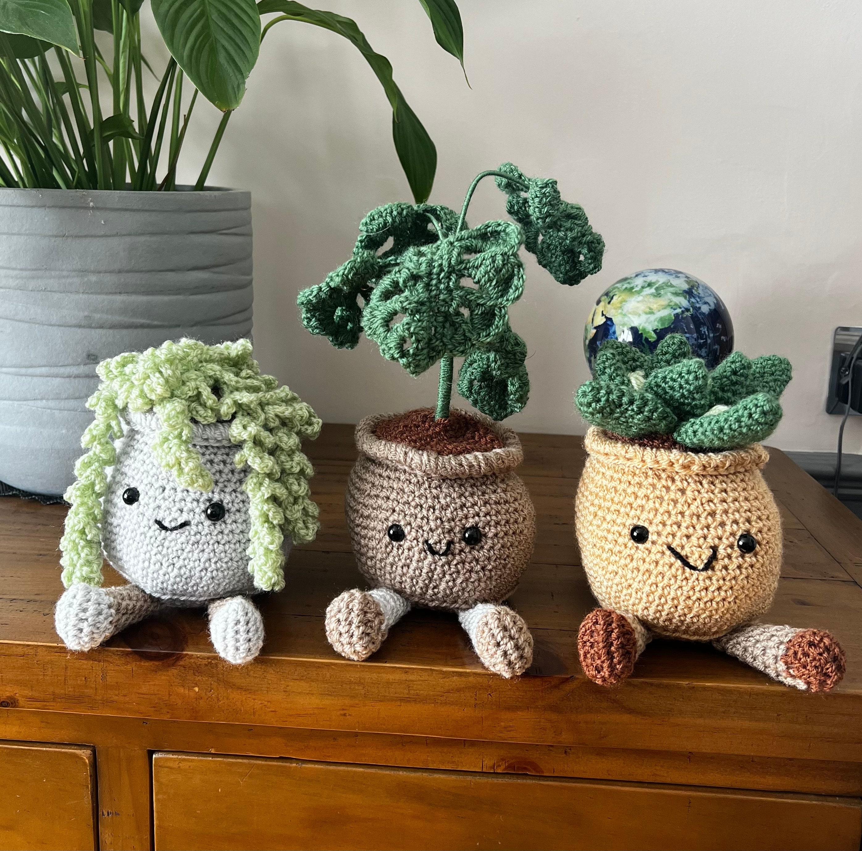 Crochet Plant Buddies/crochet Monstera/monstera/ Plant Gift/ Sedum