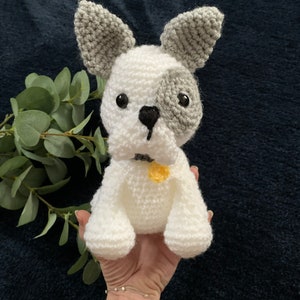 Adopt a french bulldog/ crochet french bulldog/ frenchie/ french bulldog gift/ crochet dog/ adoption gift/ unique gift/ personalisation gift image 1