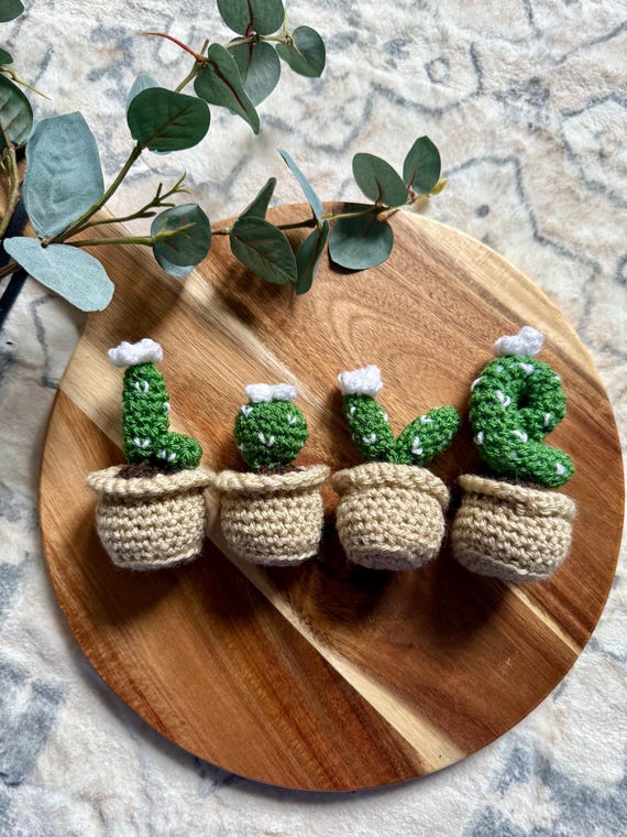 Kaktus gehkelte Pflanzen / Zimmerpflanzen / Liebe Geschenk / Dekor / ses  Geschenk / Liebe Pflanze / Sukkulente - Etsy.de