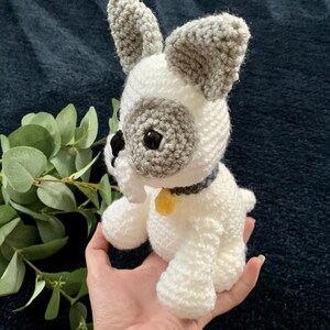 Adopt a french bulldog/ crochet french bulldog/ frenchie/ french bulldog gift/ crochet dog/ adoption gift/ unique gift/ personalisation gift image 4