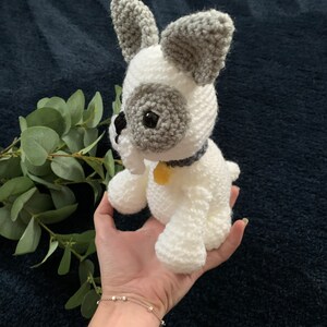 Adopt a french bulldog/ crochet french bulldog/ frenchie/ french bulldog gift/ crochet dog/ adoption gift/ unique gift/ personalisation gift image 5