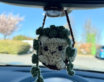 Crochet car plant/ car accessories/ plants/ houseplant/ succulent/ plant lover/ stocking filler/ crochet plushie