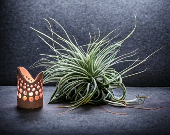 Handgjord bambu värmeljusstake: Feng Shui-dekor (13,5 cm)