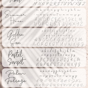 Pu&ograve; includere: Un'immagine digitale che mostra sei diversi stili di font con i nomi "Coastal Vibes", "Summer Hues", "Golden Sun", "Pastel Sunset", "Palm Foliage" e "Bronzed Skin". Ogni stile di font include lettere minuscole, lettere maiuscole e numeri.