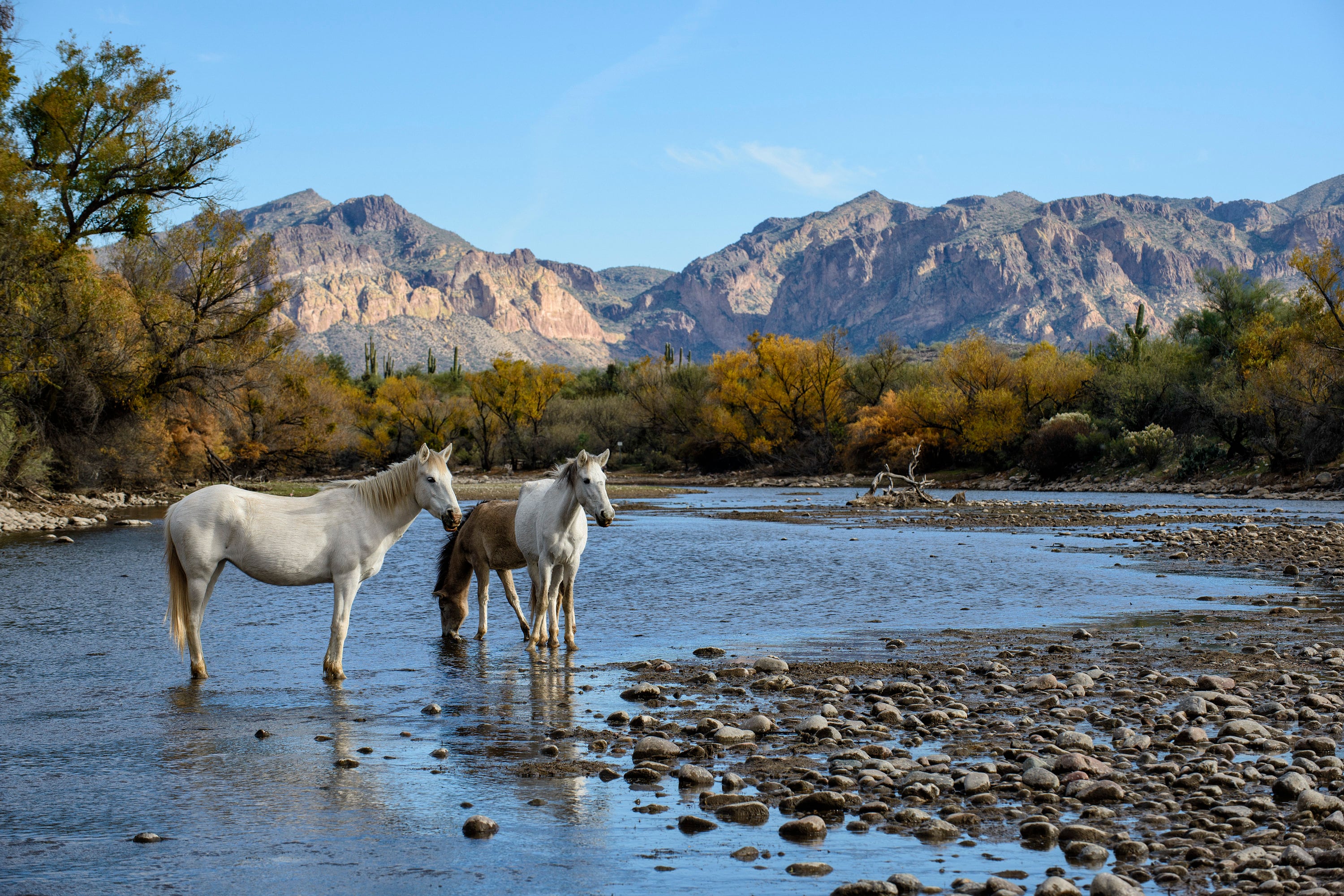 Fine river. Fine river. Fine river. Горы озера лохнесс. Fine river.