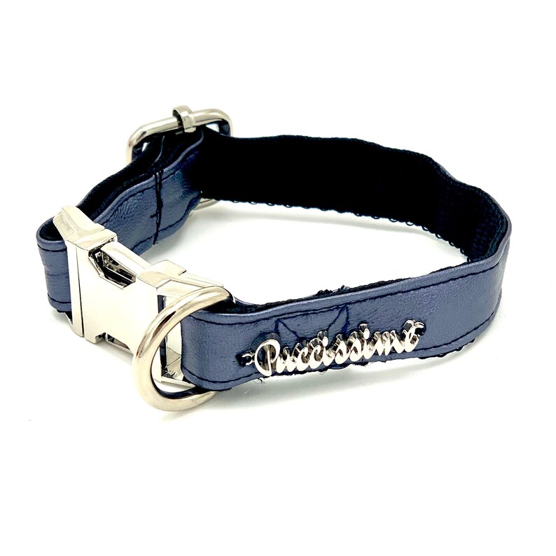 rick rack puppy collar