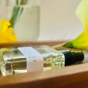Copa Banana  Perfume Spray, Oil Roll On, or Hair and Body Spray - Fruity Fragrance